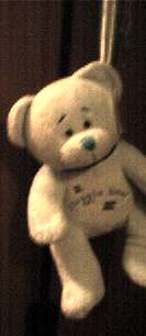 Suicidal Bear!