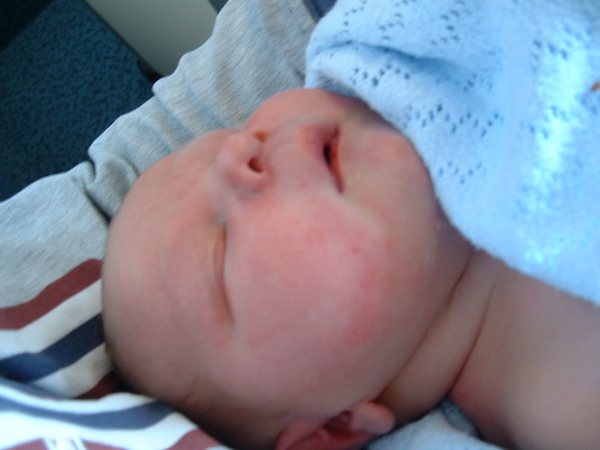 DSCF0011.JPG