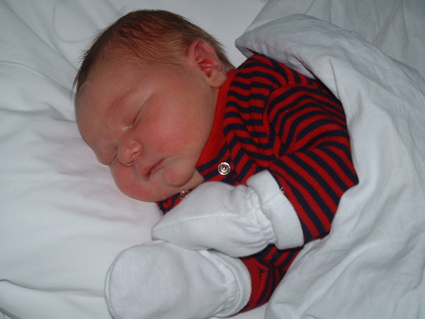 DSCF0038.JPG