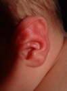 DSCF0023.JPG