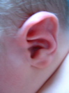 DSCF0024.JPG